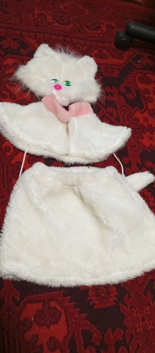 Новорічний костюм котика