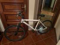 Bicicleta adulto