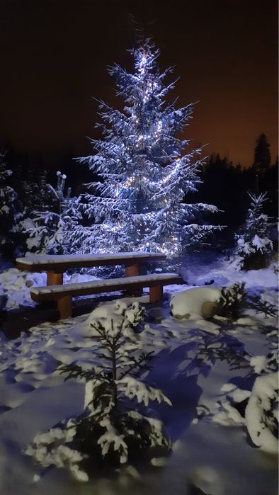 Domek w Zakopanem z GORACA BALIA, 8 osób