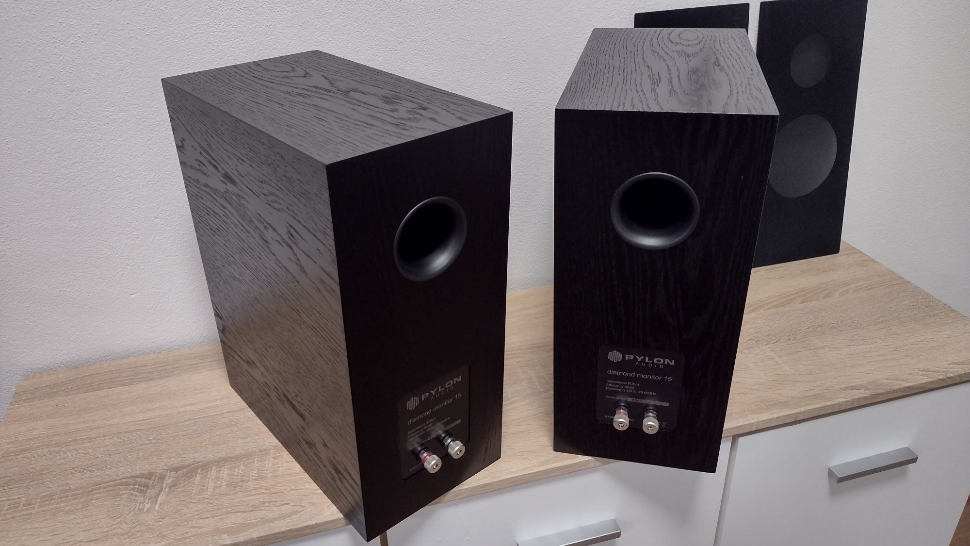 Pylon Diamond Monitor 15