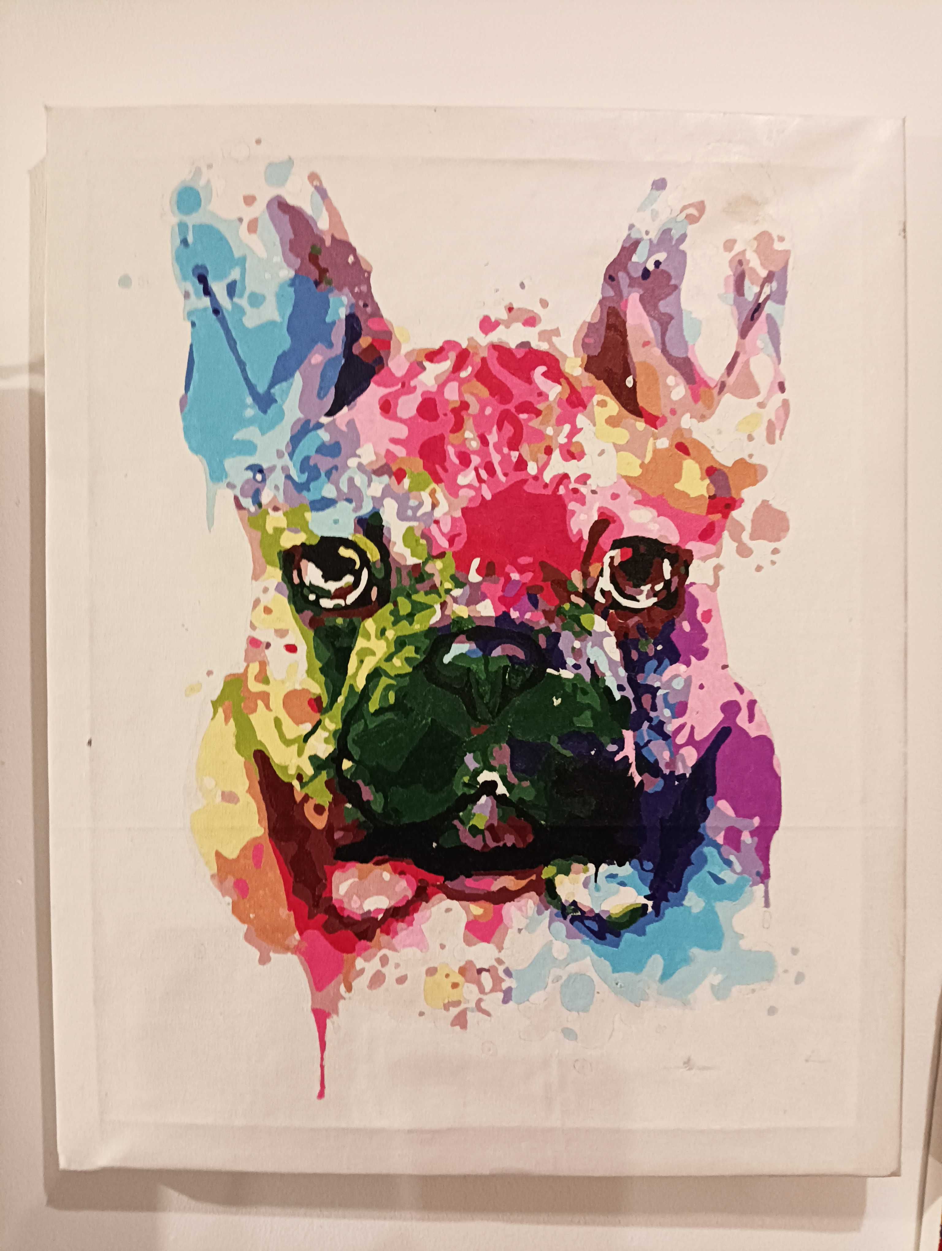Pitbull pies obraz malowany na płótnie 50 x 40 cm