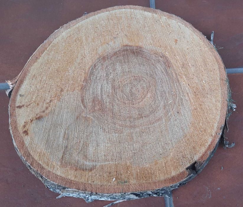 Plaster drewna drewno drewniany brzoza dąb olcha dekoracja stroik