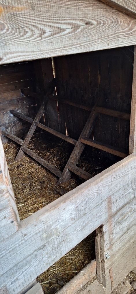 Kurnik  do przydomowej hodowli