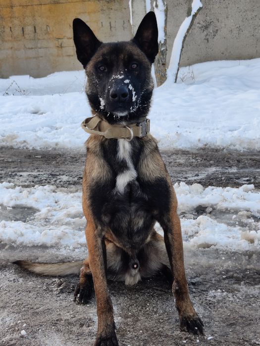 в'ЯЗКА З гарним мАЛІНУА