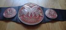 Mattel WWE wrestling replika pasa mistrzowskiego Tag Team Champions