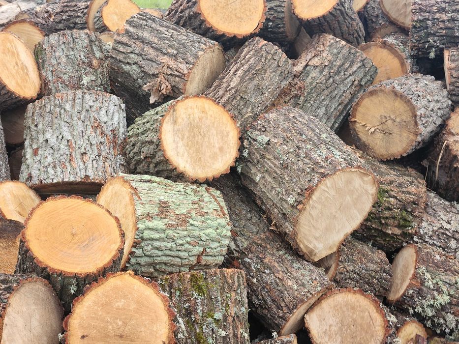 Продам дрова Сосна Дуб Береза Осика Граб Вільха,  Ясен