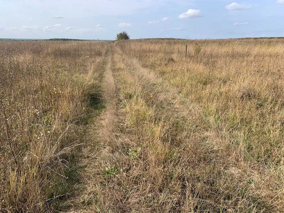 Продається ділянка в Луці-Мелешківській
