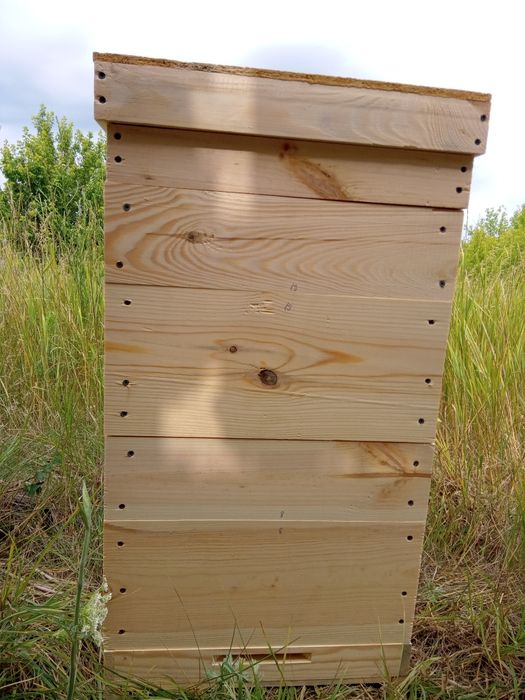 Вулик Дадан, вулики Дадан