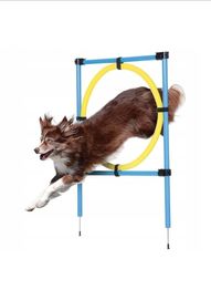 Nowe Akcesoria do treningu agility dla psa Zoofari Ogłoszenie dotycz