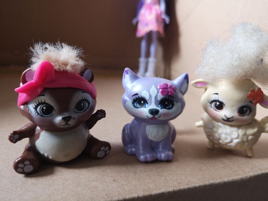 Lalki enchantimals owca pies husky miś