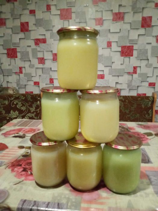 продам жир барсучий