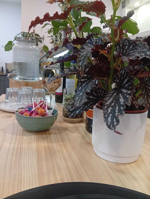 Trespasse restaurante - Coimbra Solum - Oportunidade Única!