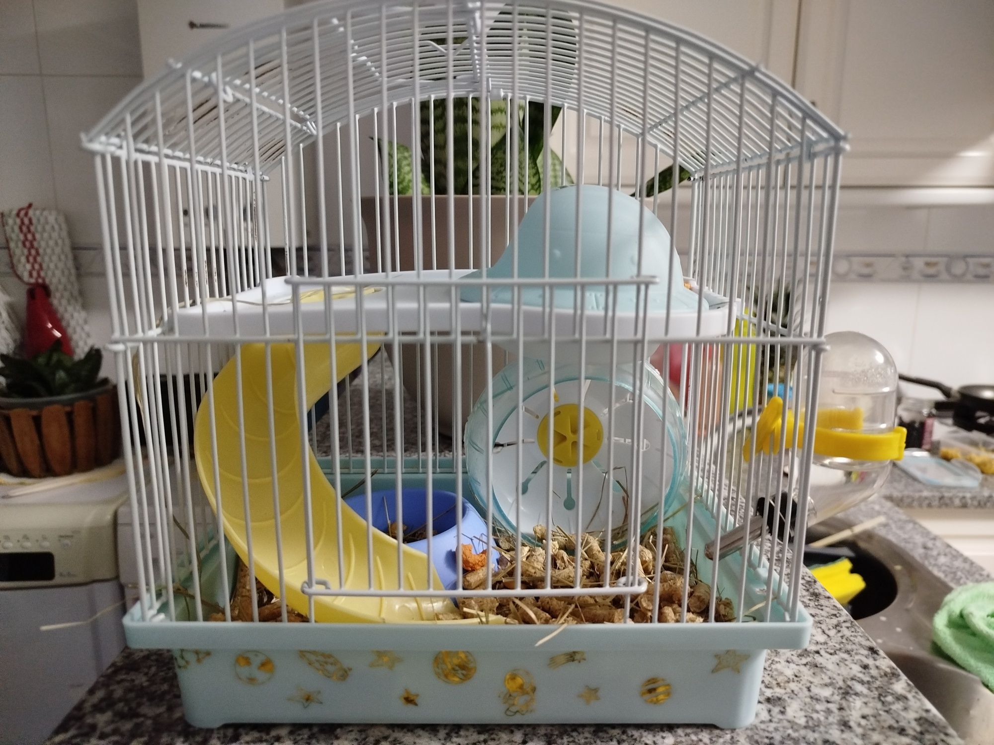 gaioLa de hamster