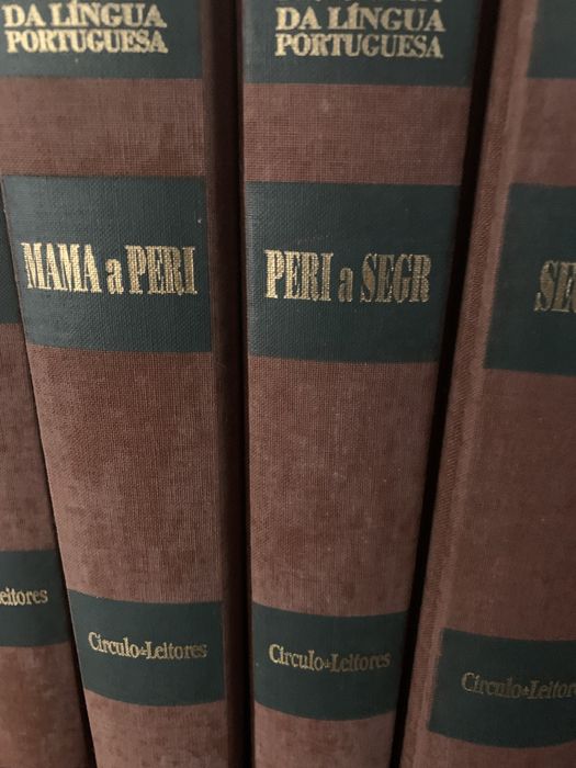 Grande Dicionario da lingua portuguesa