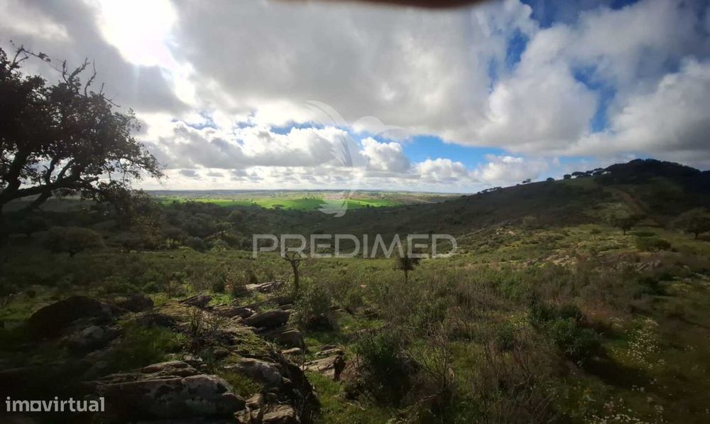 Vende-se Herdade – 34 Hectares