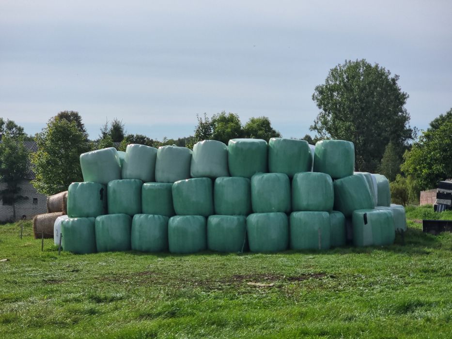 Sprzedam bele sianokiszonki