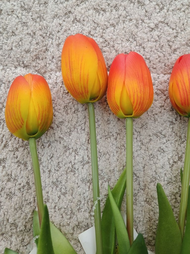Tulipany różowe herbaciane 6 szt 40 cm
