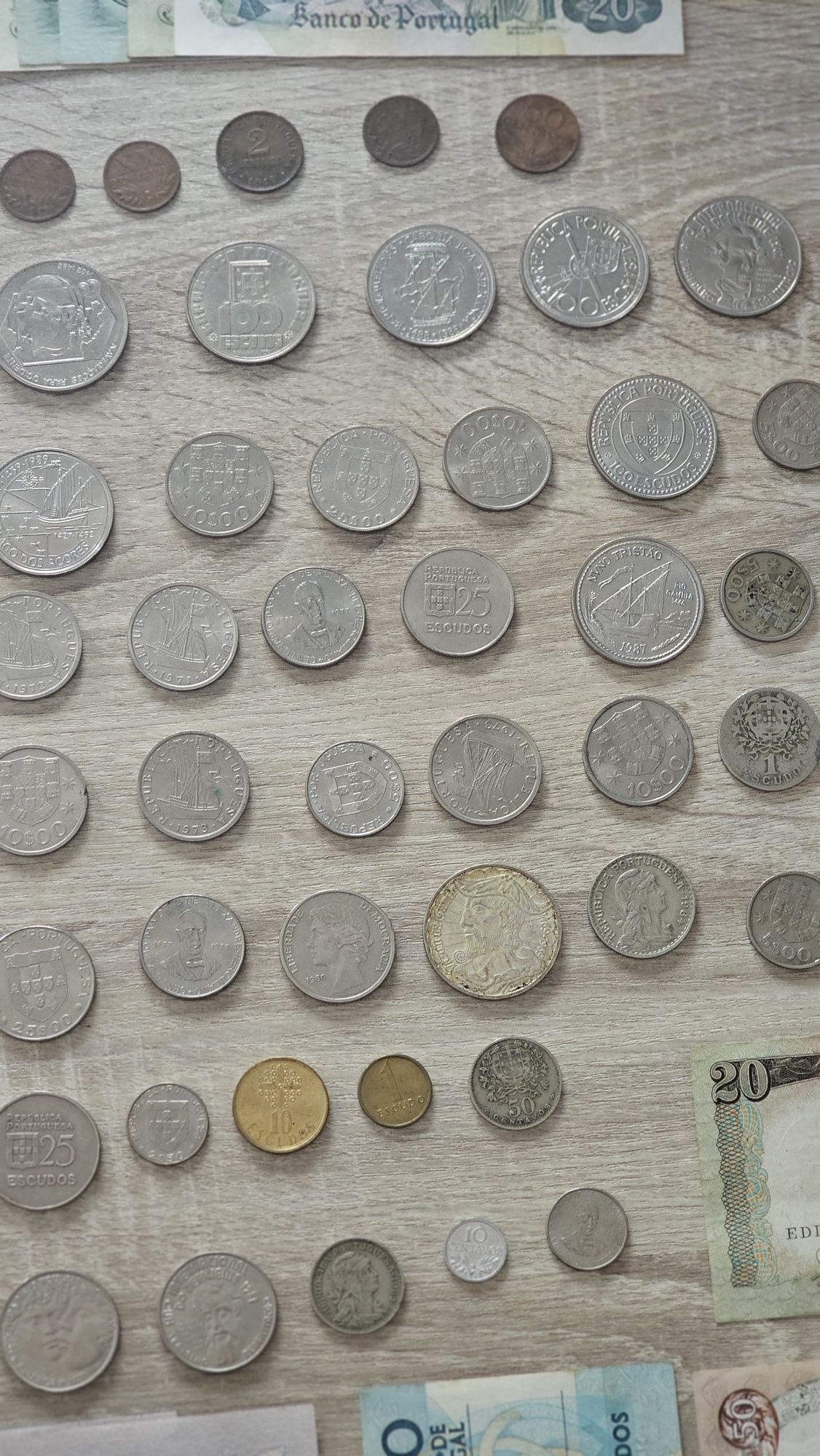 Moedas e notas de escudos