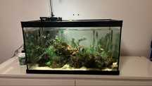 Aquario 80x40x40 completo