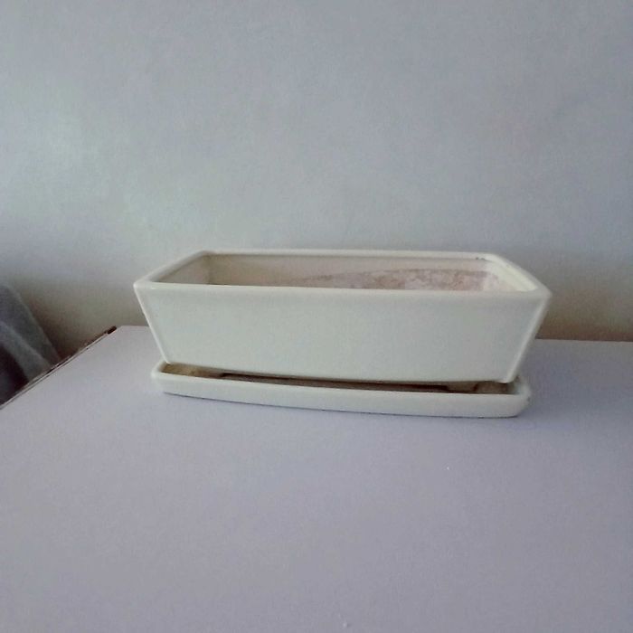 Doniczka Kaktusiarka prostokątna z ceramiki w kolorze bialy mat. 30cm