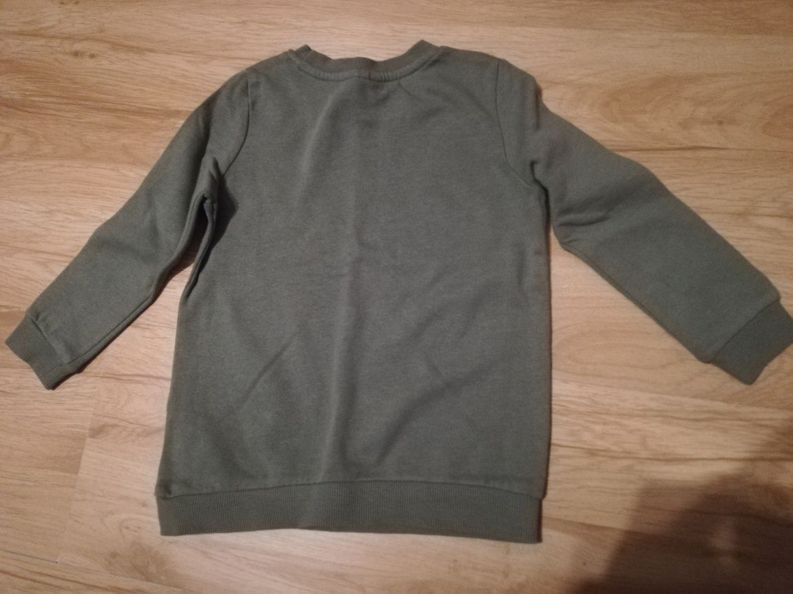 Bluza chłopięca z leniwcem