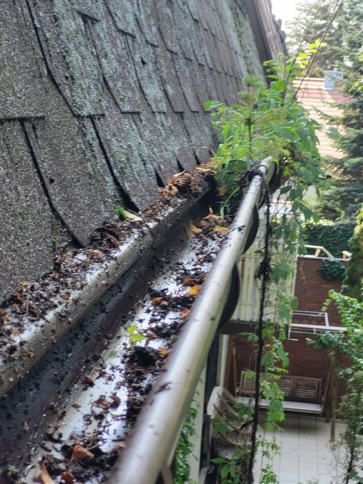 Wycinka drzew, koszenie, osy, zamiatanie, czyszczenie rynien