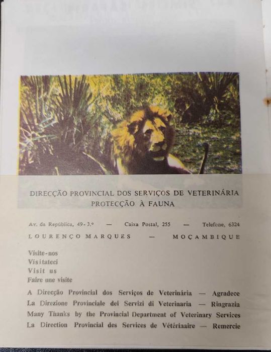 Gorongosa, Moçambique