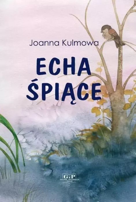 Echa Śpiące Joanna Kulmowa Nowa