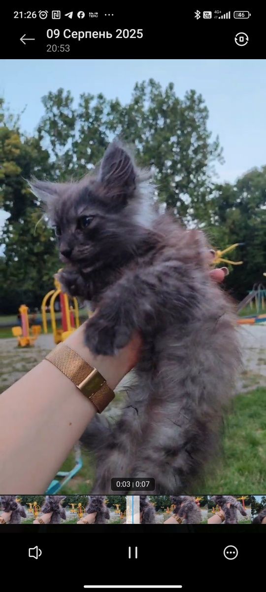 Срочно шукаю родину
