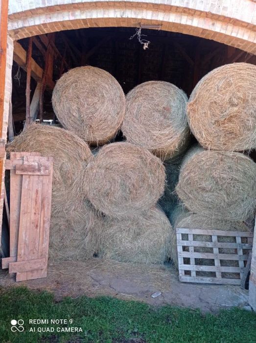 Sprzedam Siano pierwszy pokos 2025