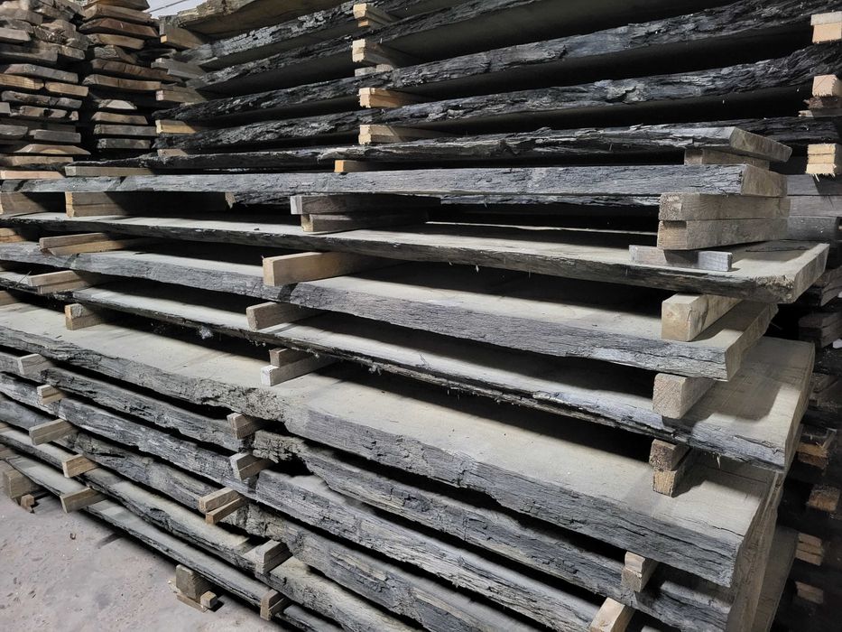 czarny dąb, brusy czarny dąb, dąb bagienny, black oak, dąb czarny