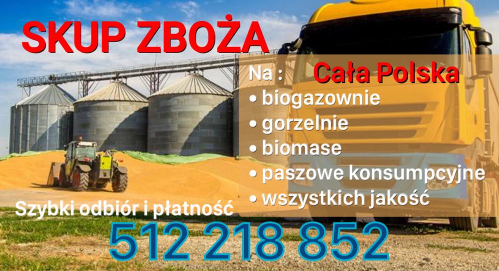 pszenica żyto  owies pszenżyto jęczmień  kukurydza