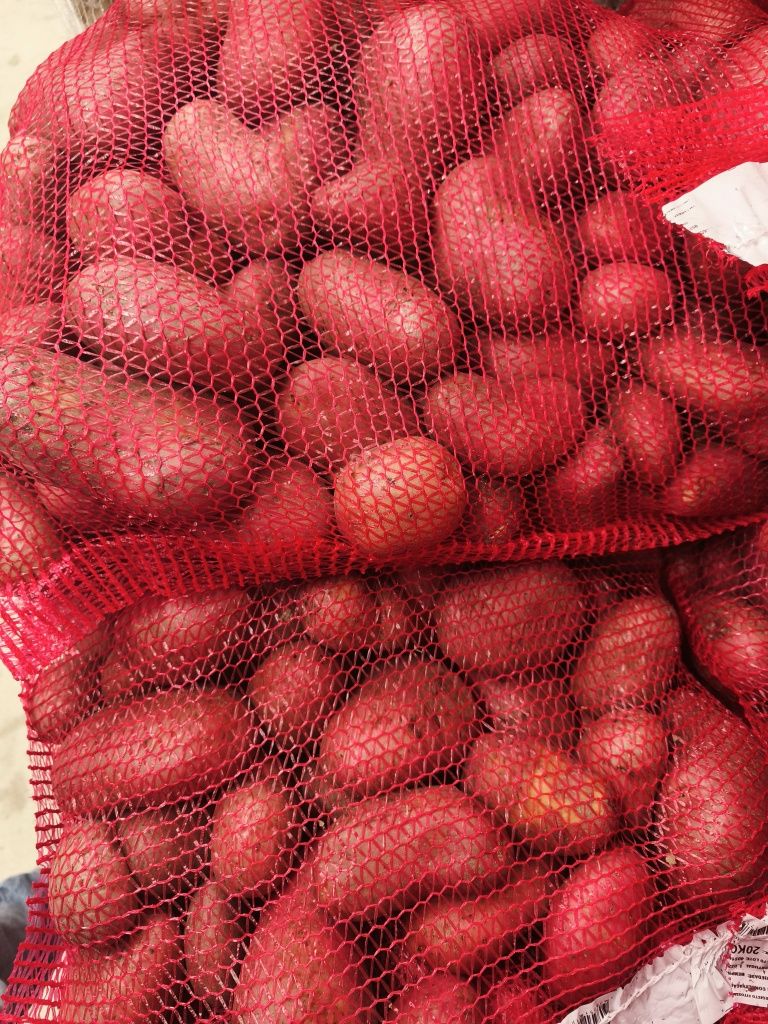 Batatas vários tipos - Sacos 20kg - ENTREGA GRATIS