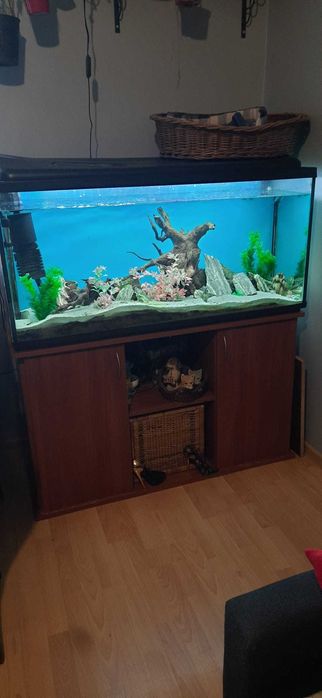 Akwarium 300L z wyposażeniem plus komodą pod akwarium