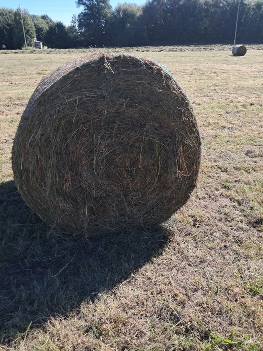 Sianokiszonka z traw