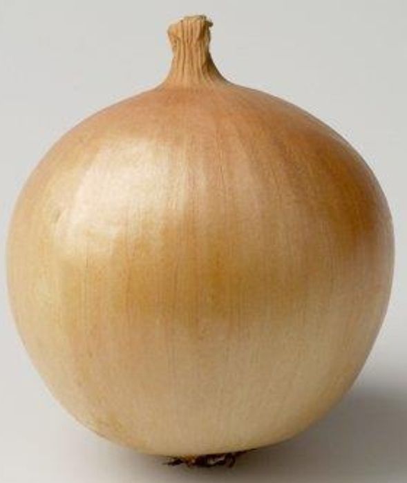 Cebula żółta cebula