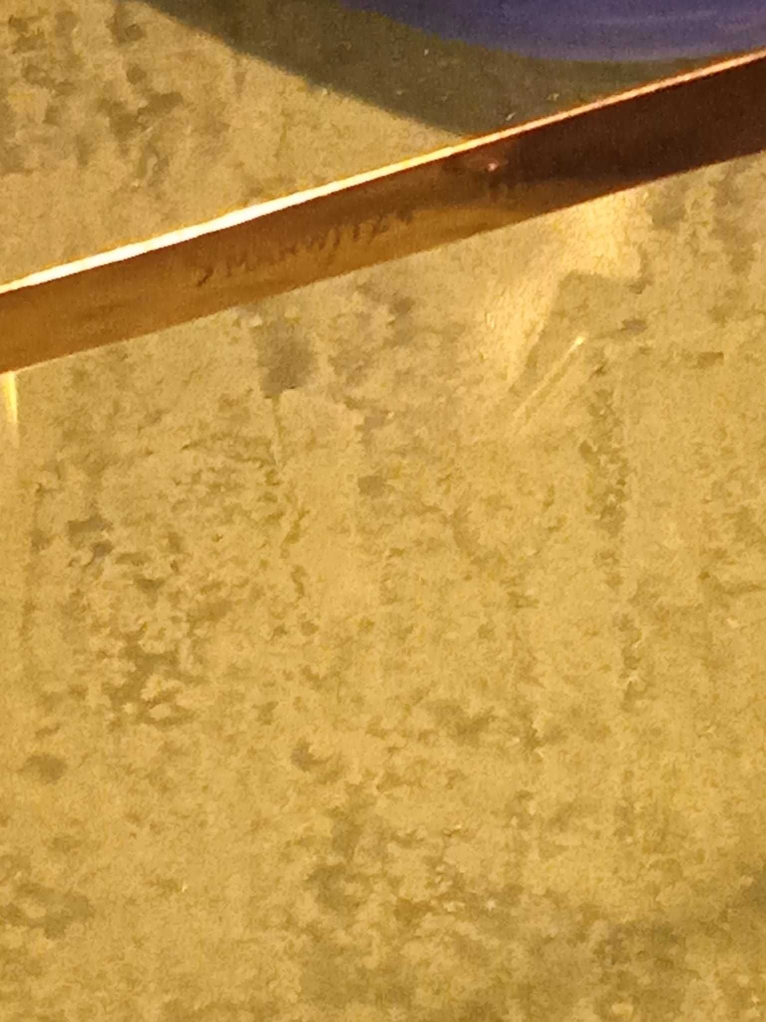 OPTIMA Metzler Marwitz Optima Óculos de sol vintage