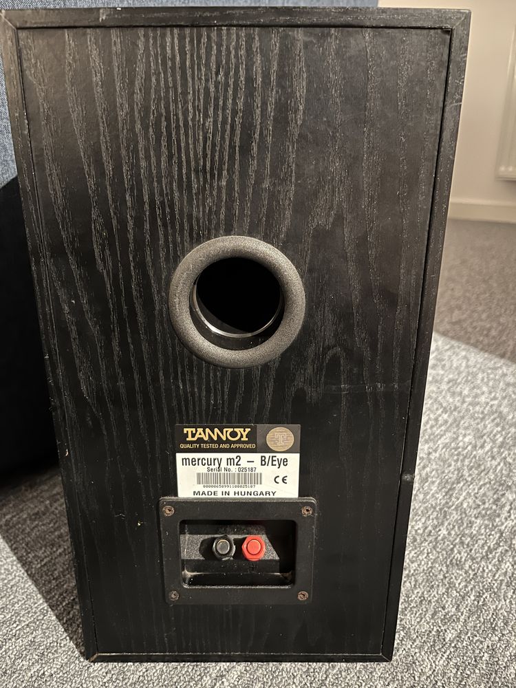 Tannoy mercury m2