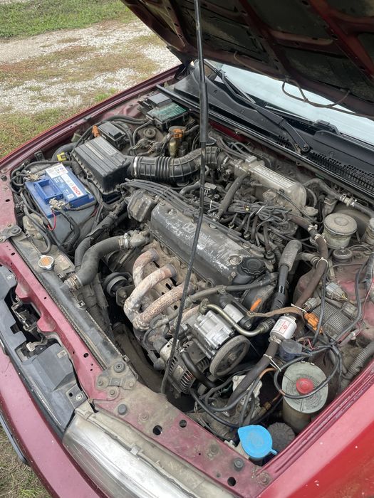 Продам Honda accord