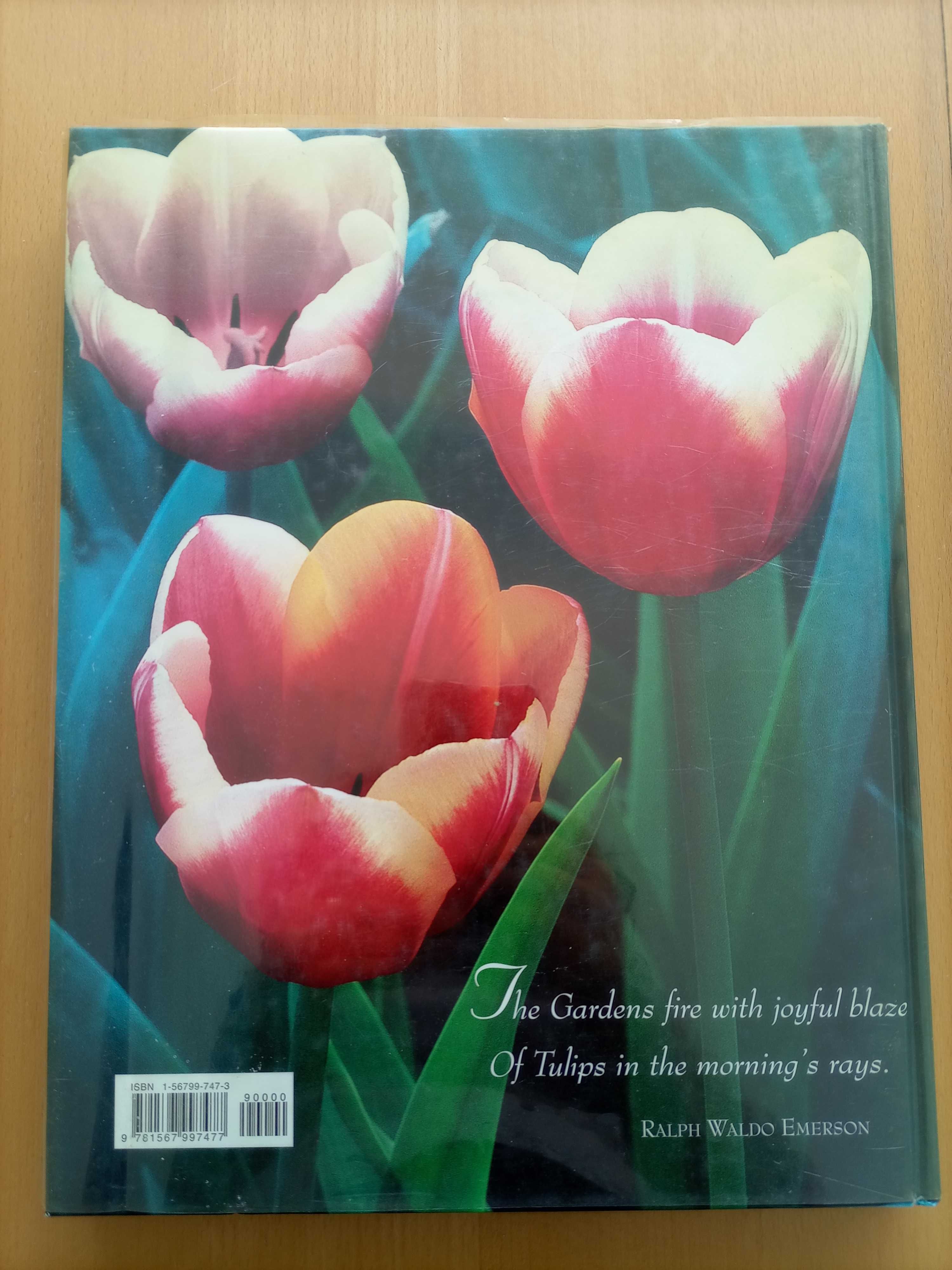 Livro "TULIPS" Coleção de fotos de Tulipas com citações em Inglês