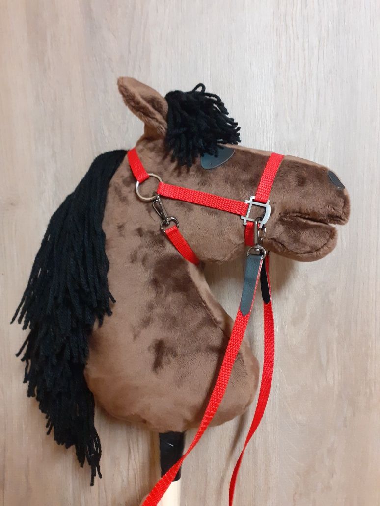 Konik hobby horse