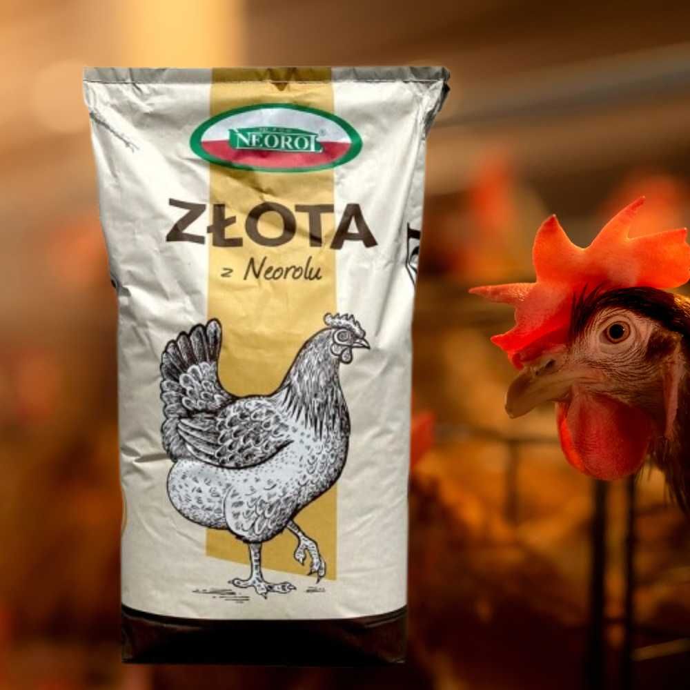 Pasza dla kur niosek sypka NEOROL 25kg wysyłka