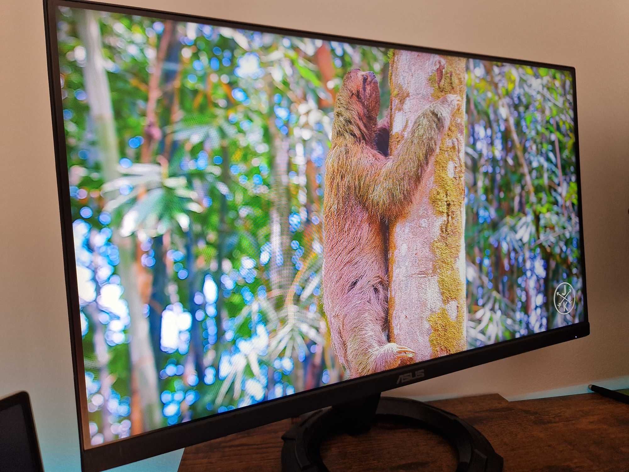 Monitor Asus VZ249HEG 60HZ