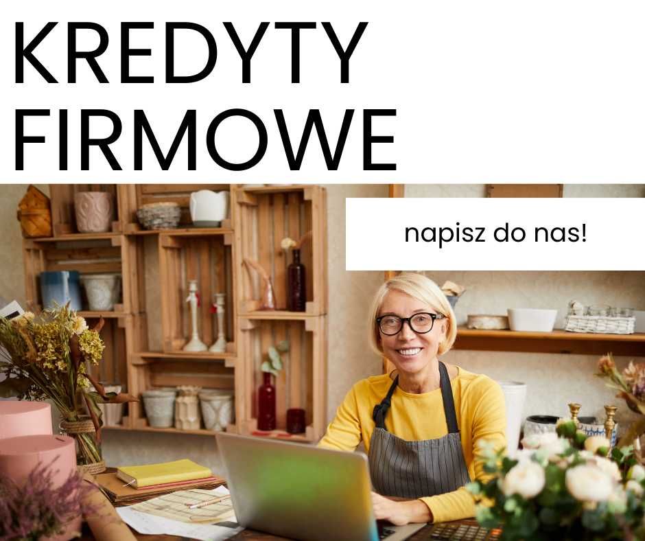 Kredyty dla firm; banki parabanki, prywatni inwestorzy.