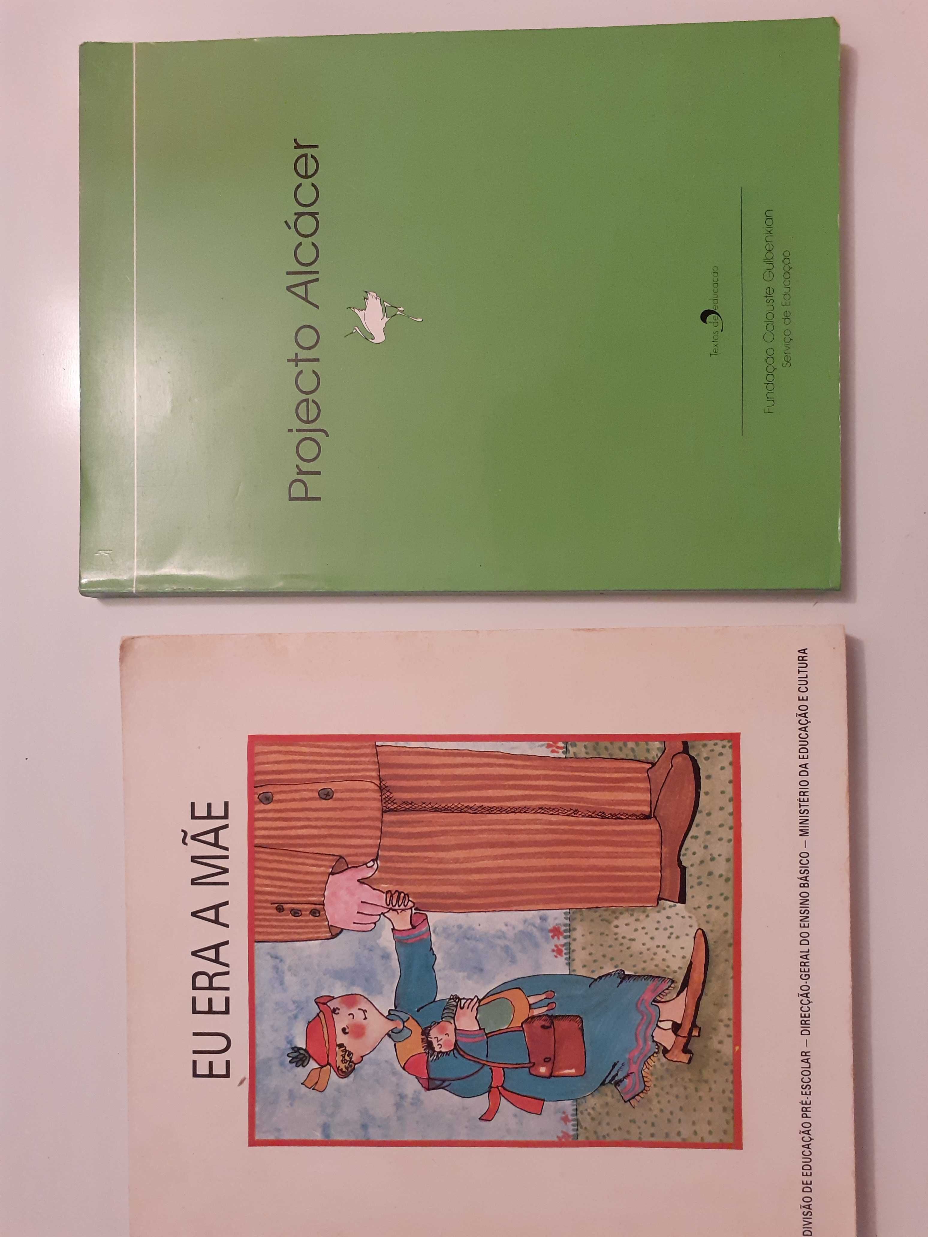 Livros tecnicos educação  de infancia