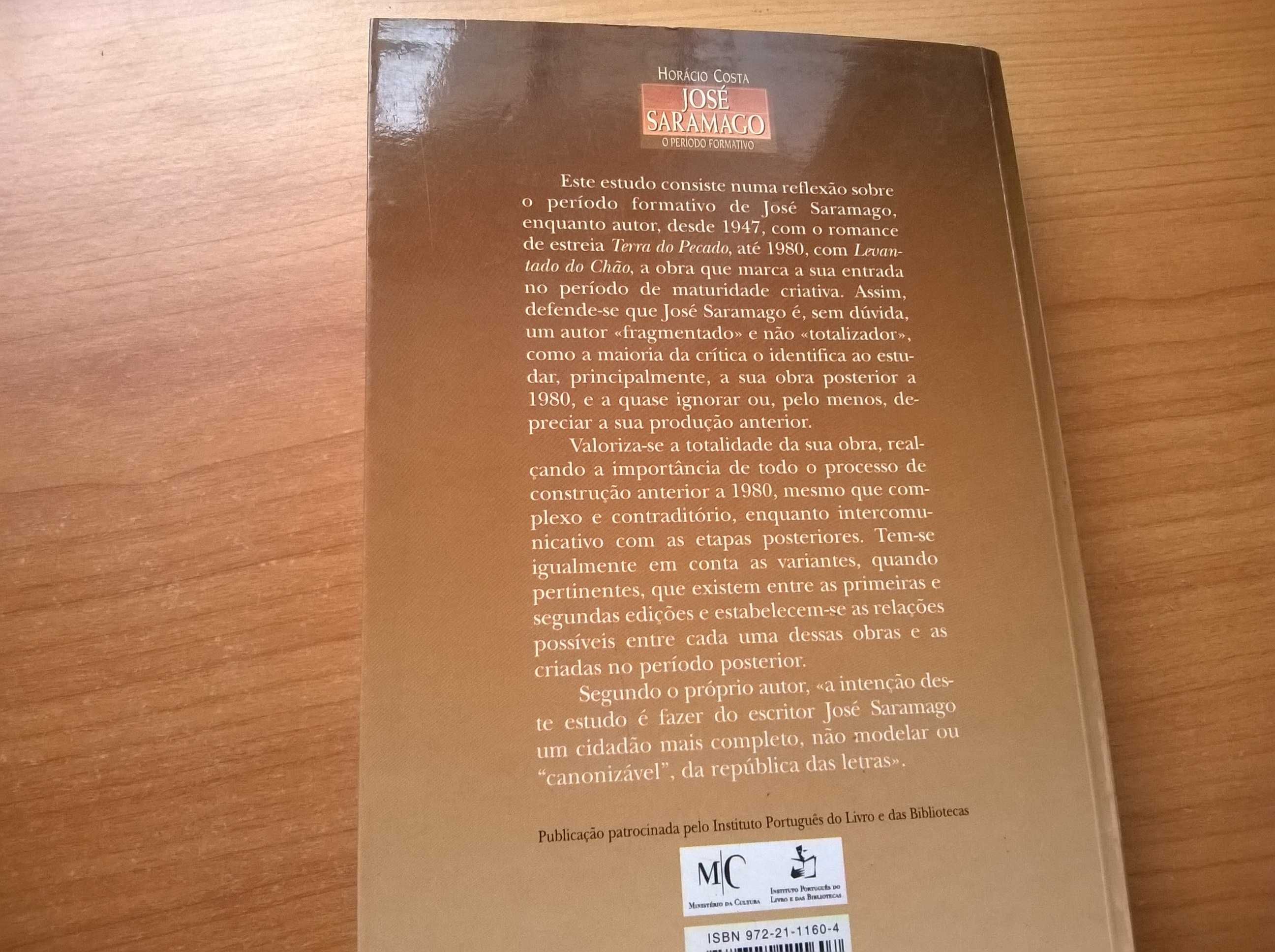 José Saramago - O Período Formativo - Horácio Costa