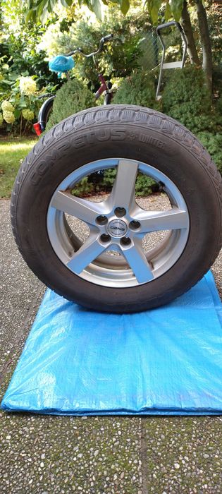 Sprzedam komplet kół zimowych do VW Tiguana.