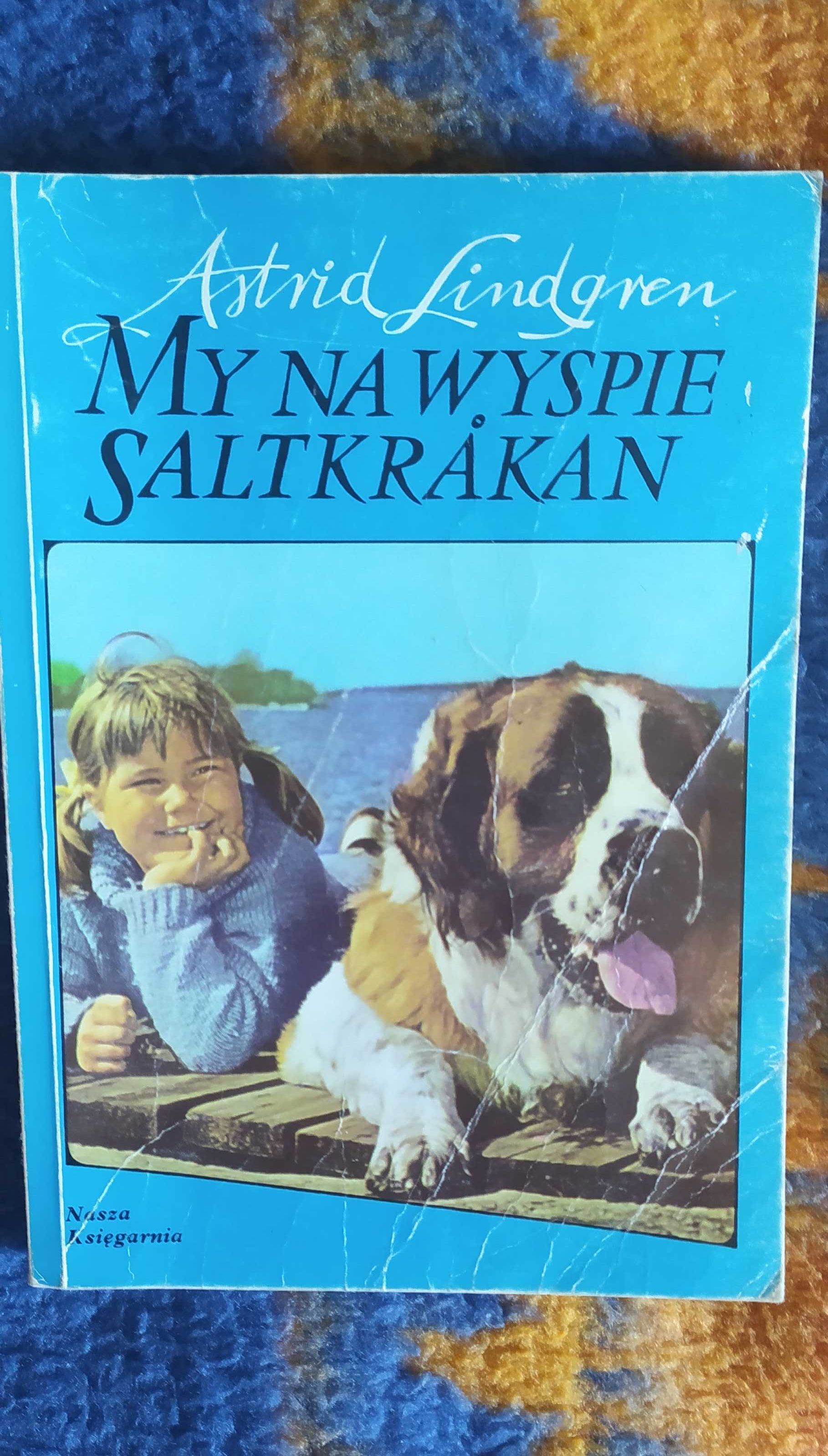 My na wyspie Saltkrakan