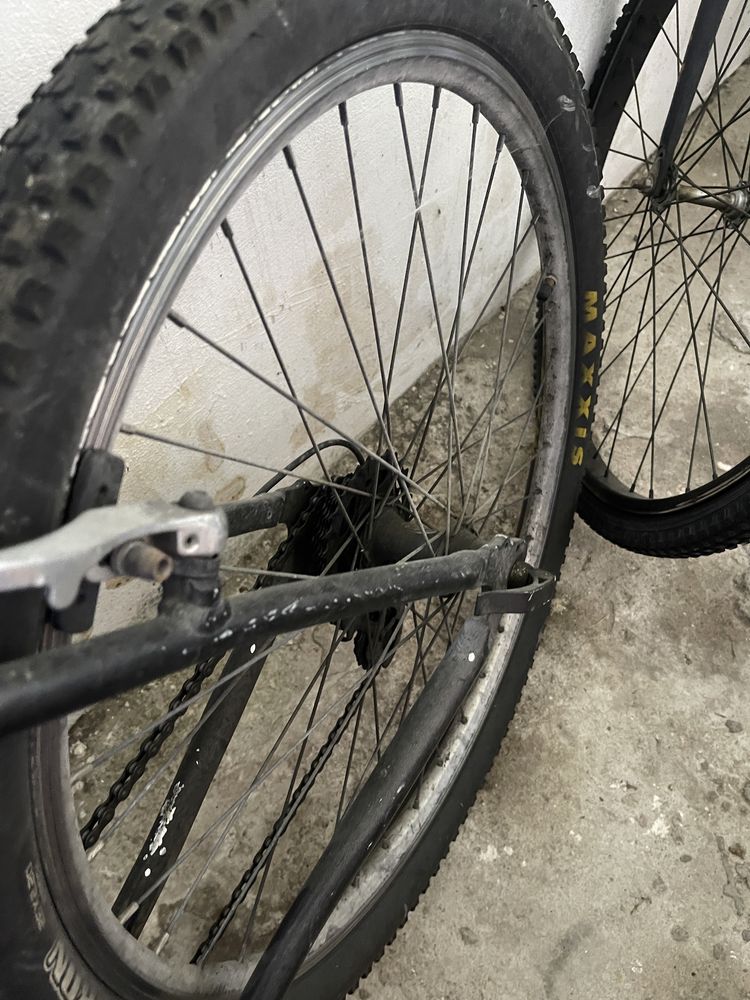 Bike unico dono