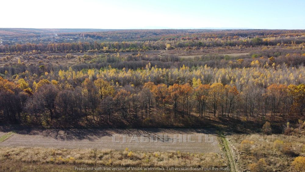 Продаж Ділянка 15 сотих під будівництво. Павлівка. Ліс. Природа. Дача